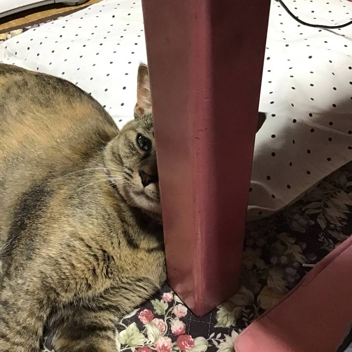 5aaea809 2af7 441a a812 190cef1c10ff 1593305530882