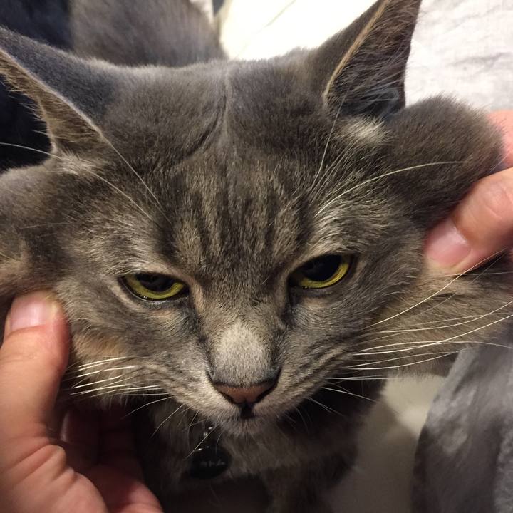 5aaeacb7 26f2 4422 9448 32c5140bef3b 1535066486806