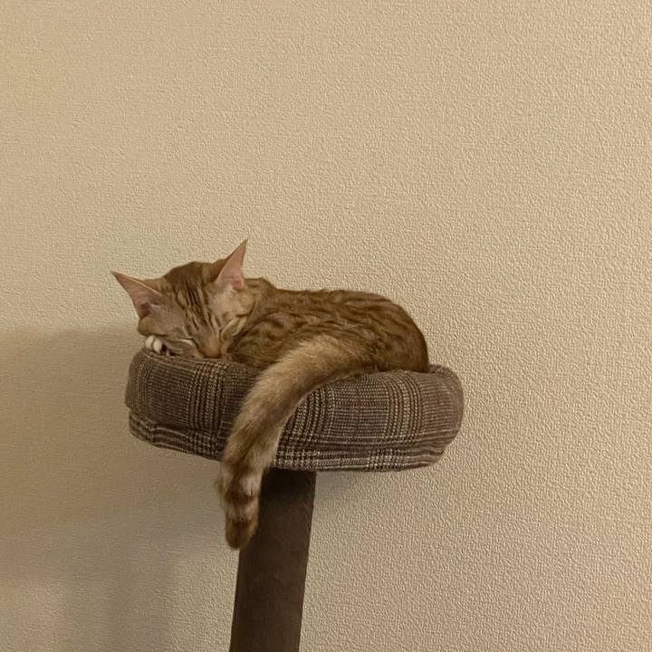 5aaeea68 fb8b 43fd 8684 480af58ac408 1640850443126