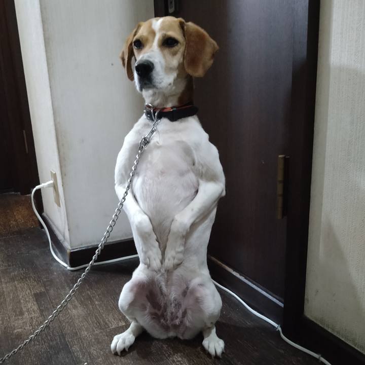 5aaef5e3 1bdc 4ca1 a690 1f9de670504e 1622806293837