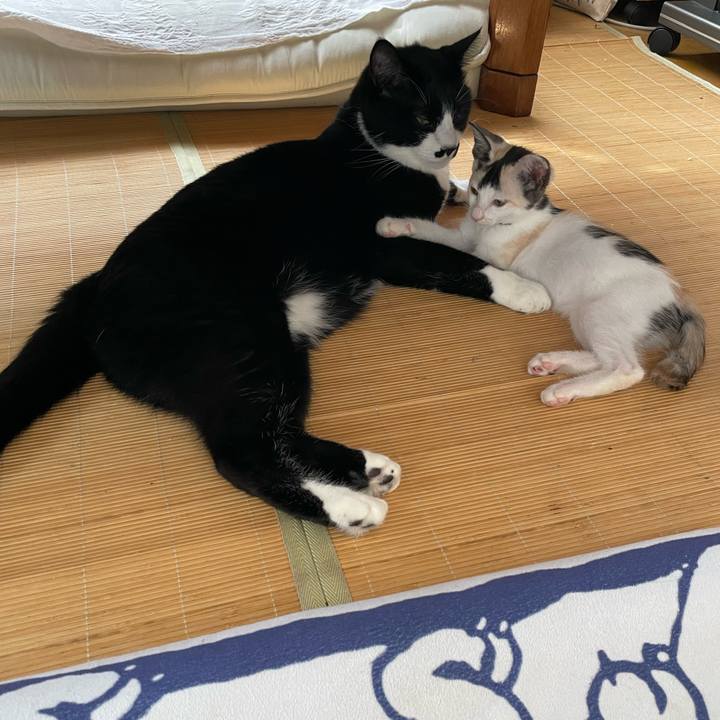 5aaef678 b651 4534 b770 bb933bfeaf7d 1658617372720