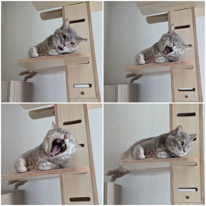 5aaf4726 c918 4b3e 9486 1d67cf5ada67 1710821346766