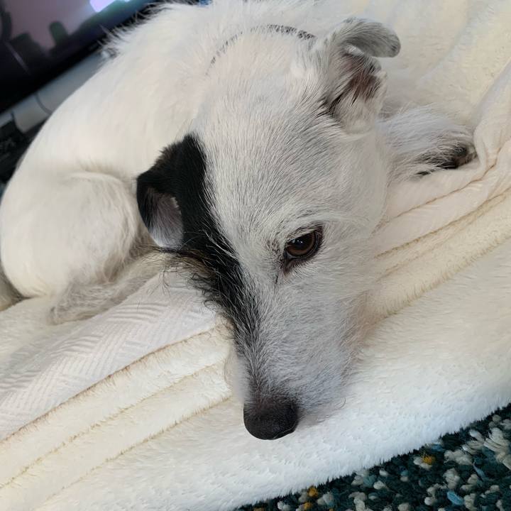 5aaf9e60 f022 4438 ad48 f18df5fb3251 1733114258501