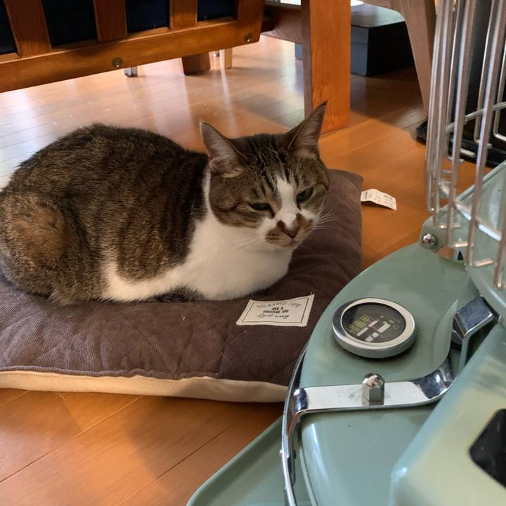 5aafa159 4721 453b 9924 609ff78ad797 1640656014635