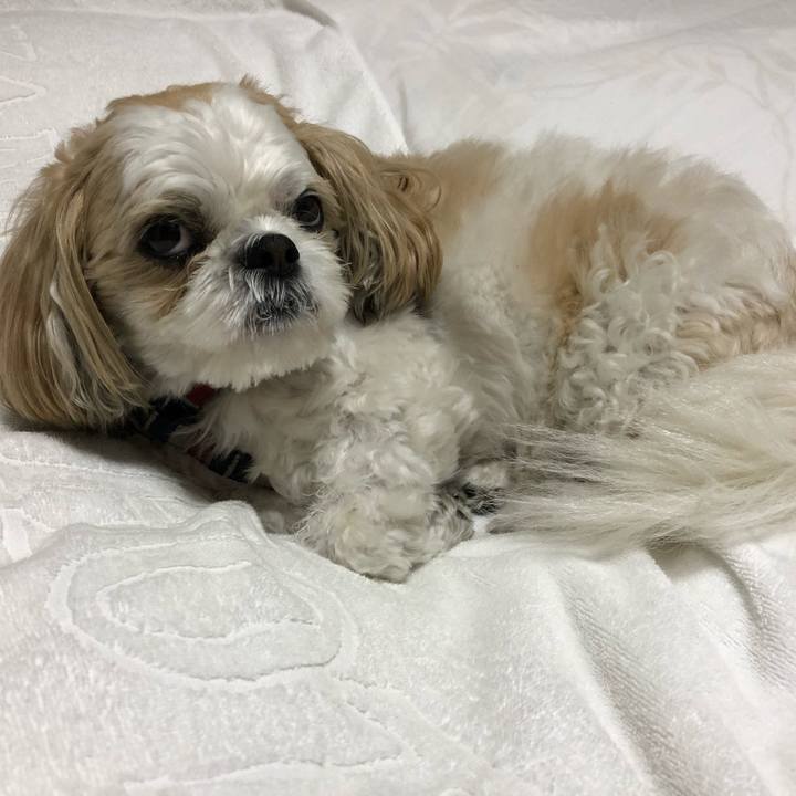 5aafb20f 978b 4e4c b0fb 952b3bee52ea 1541540812672