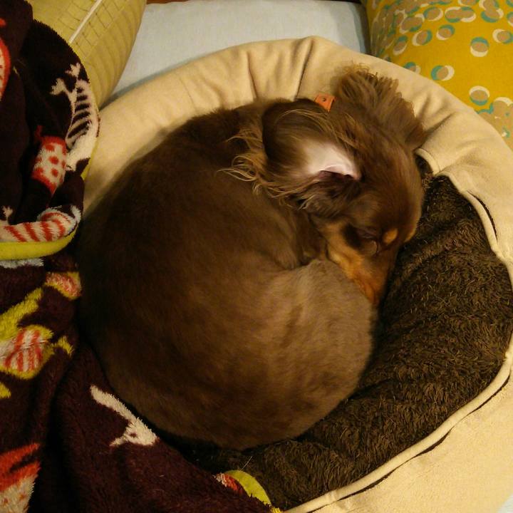 5ab019ad 9da9 4662 adbe 8ea8bc5a7a39 1544085050129