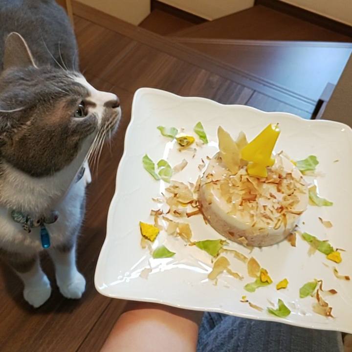 5ab025c1 bf5d 45fc b5e0 7a2394bca9c8 1686472429986