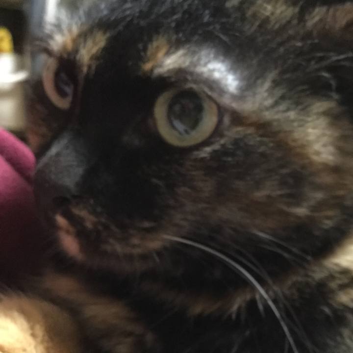 5ab03f8f c685 485d 98be 7c4c72cc5a81 1553608488231