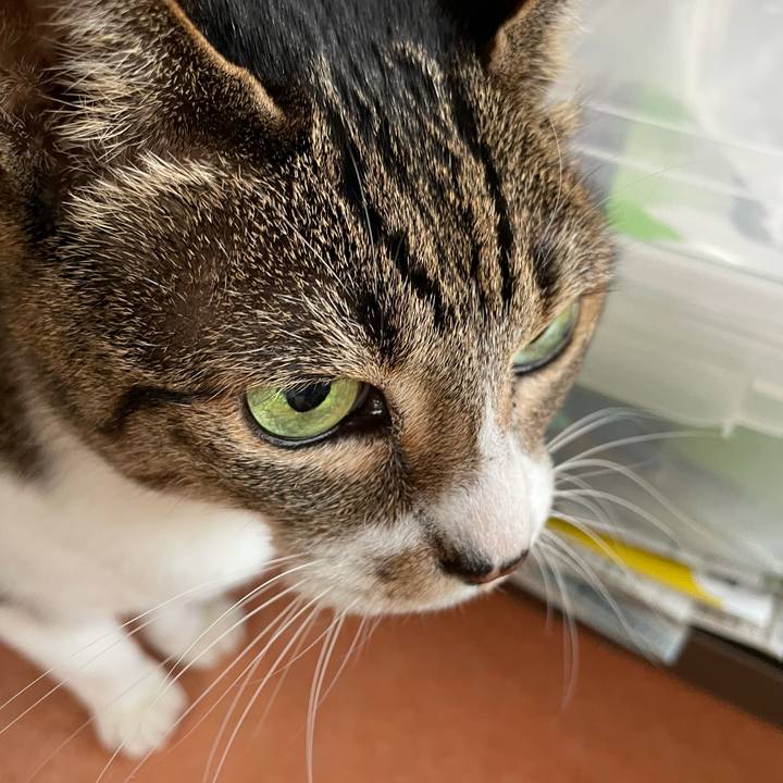 5ab081d9 f715 4218 97bd e12f49dfdc95 1607131659473