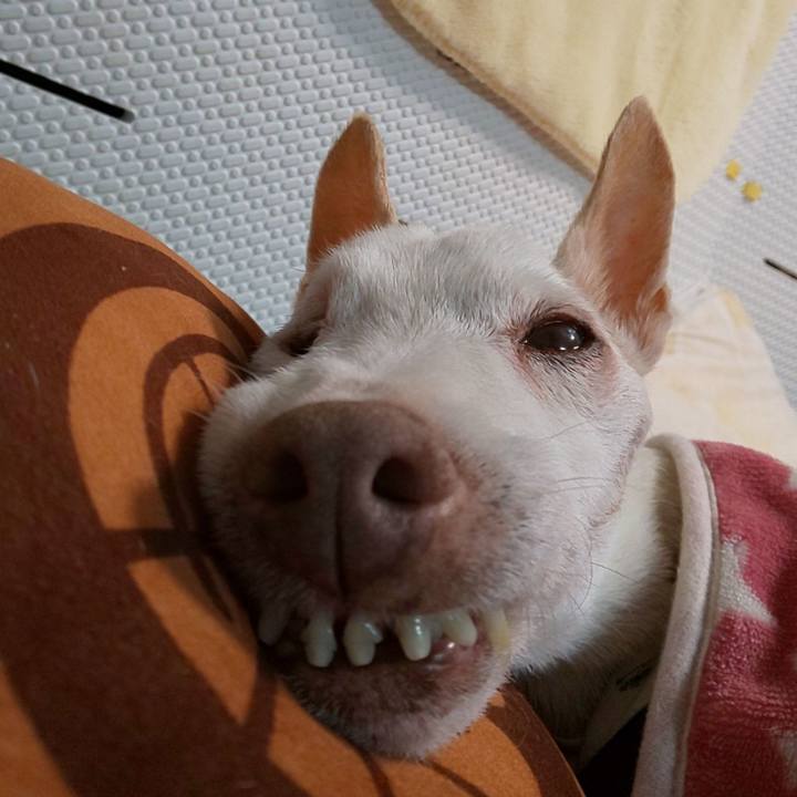 5ab0ad1d ca5a 4ea1 aee1 826634cbd705 1603278881880