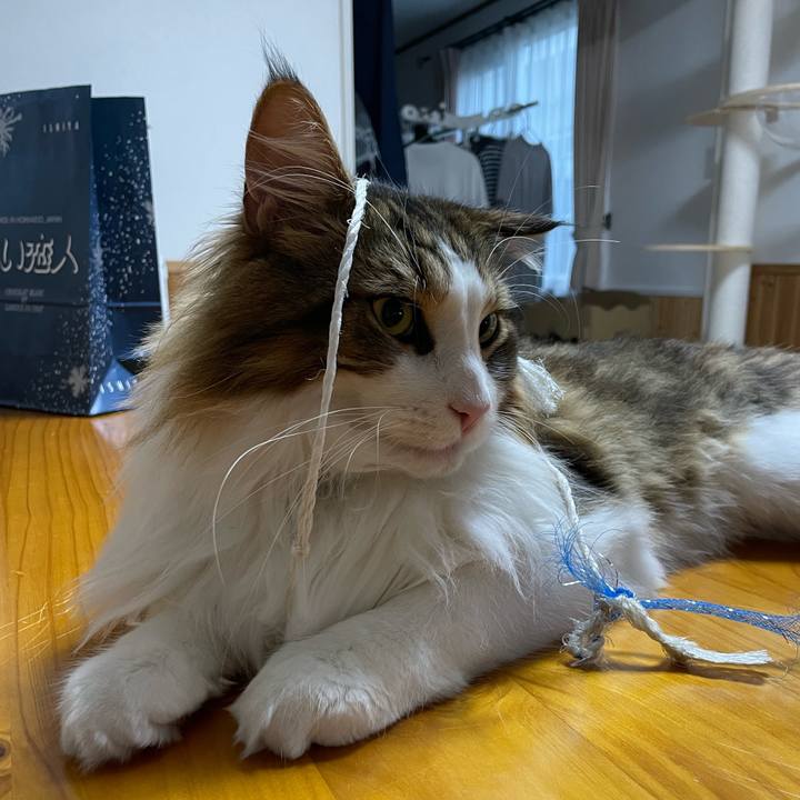 5ab1240e e636 4b2c 9d06 af746237efc2 1666559104183