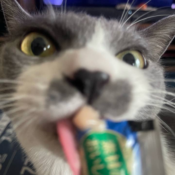 5ab132db 39b3 4fd9 a56b 99a9bfd0d02f 1722581987061