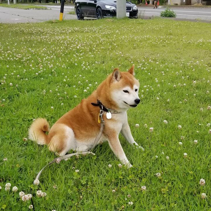 5ab13fda c247 4285 a87a 9b851357d94d 1622964013980