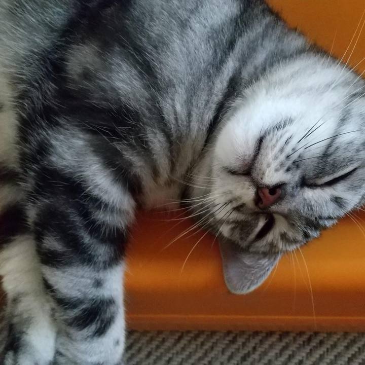 5ab17e30 3dc4 4e1e ab0c 52323ec2a4f3 1689679947462