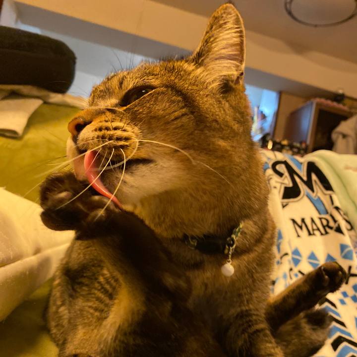 5ab1ea63 3fde 4b50 8ba5 84b6225aa3d2 1648297497918