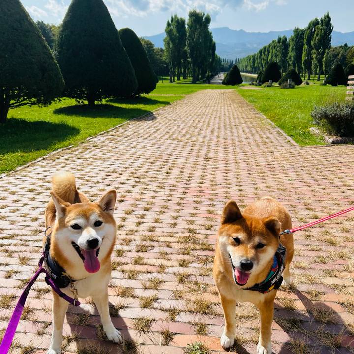 5ab1fda5 c8cb 4890 92df 3fe977fa7586 1759635374515