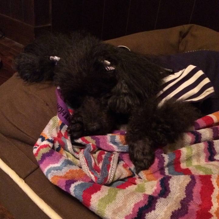 5ab20f99 f03a 4f4f bcd8 5bea1ba00778 1570441450377