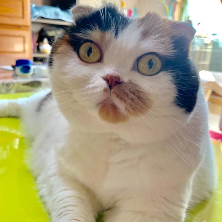 5ab239f1 ded7 4c86 bec1 9493d7685089 1564696868074