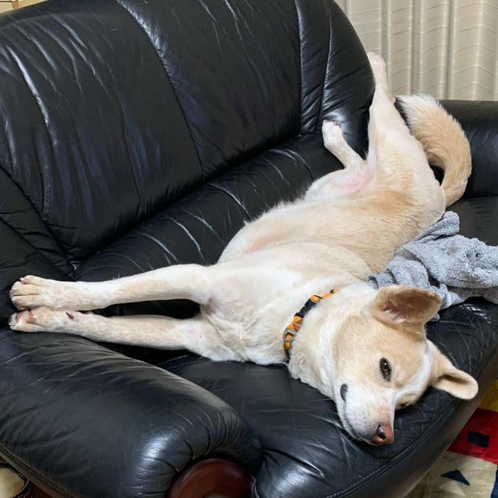 5ab24066 39cd 48fb 90af dc15282ae643 1578840784133