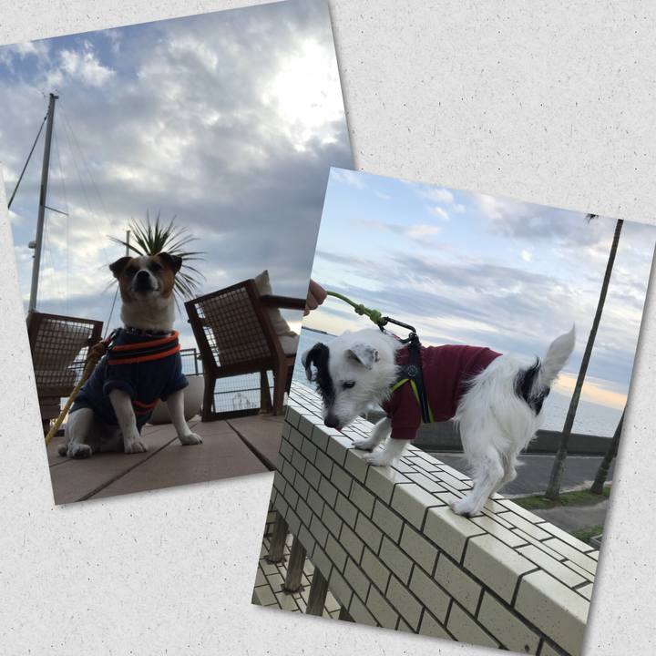 5ab24101 05a4 4cf2 84a0 706b885d6039 1521792641396