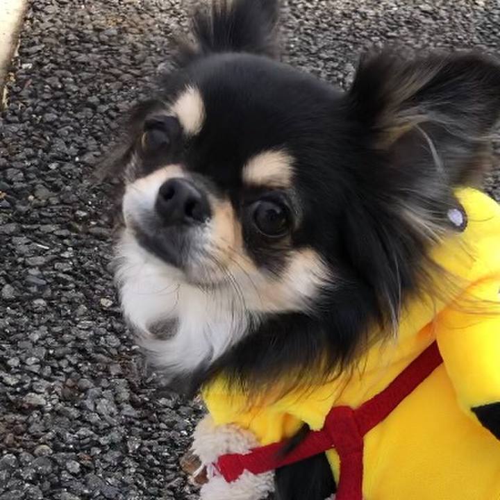 5ab24188 832f 44eb ac2a 85817e138a3f 1583058473482