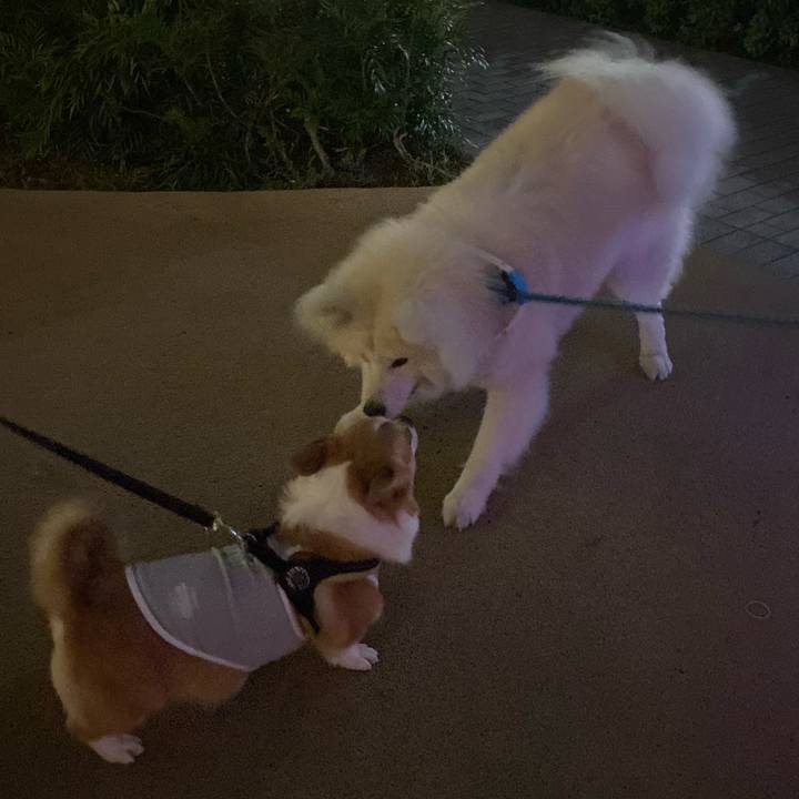 5ab2908f 078f 469f b565 7287d6cc8a27 1749295417479