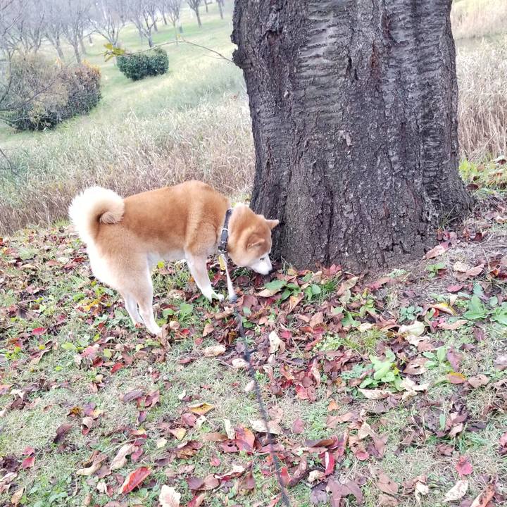 5ab2abe8 120f 4236 b10d b89e0081d8f5 1635837719020