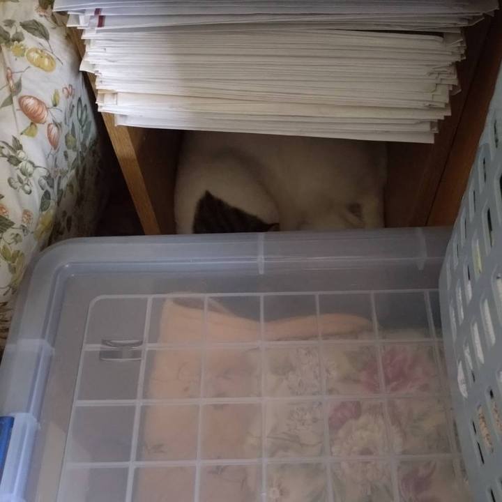 5ab2c60c afae 45ee b381 4cff058312a0 1725499926038