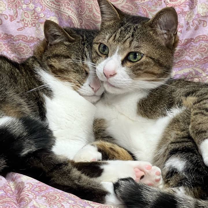 5ab2dd84 089a 40c4 8aea 8c8f3a87e550 1771223839756