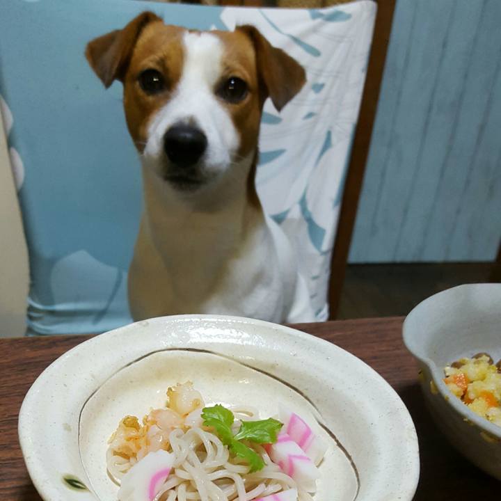 5ab2dff8 41a0 4835 bdd2 6a2af2393692 1577799872258