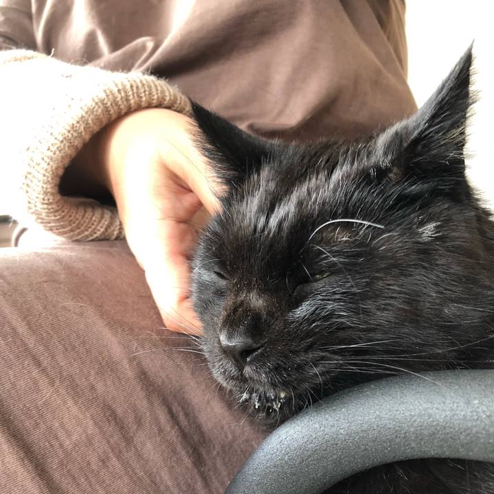 5ab2e2ca 0001 499f 9cf0 2d2809573e7b 1634430268662