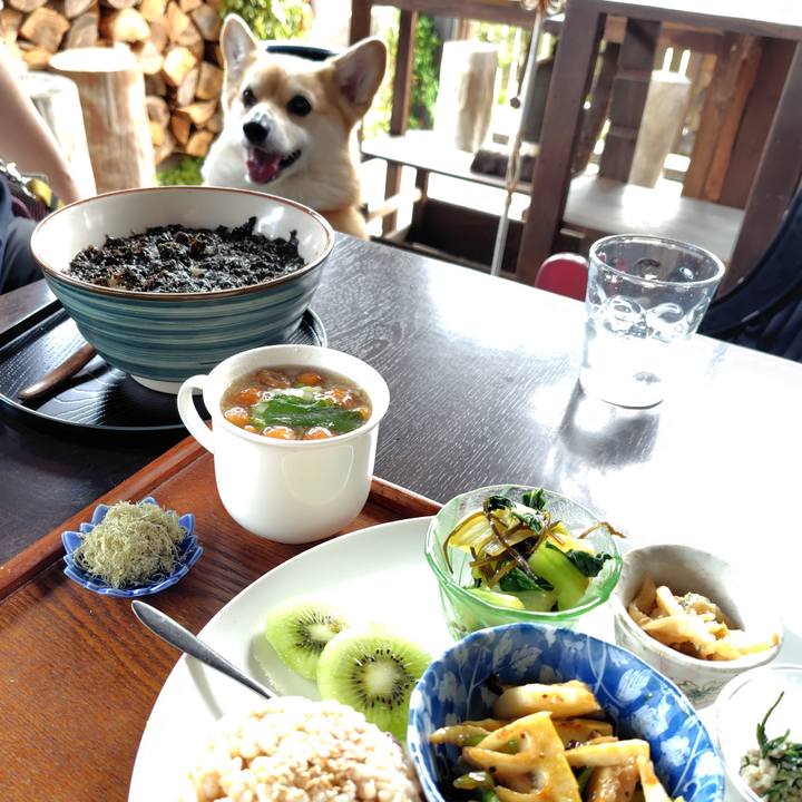 5ab2e887 878e 4ab2 8841 4a99391e6ead 1747745971721