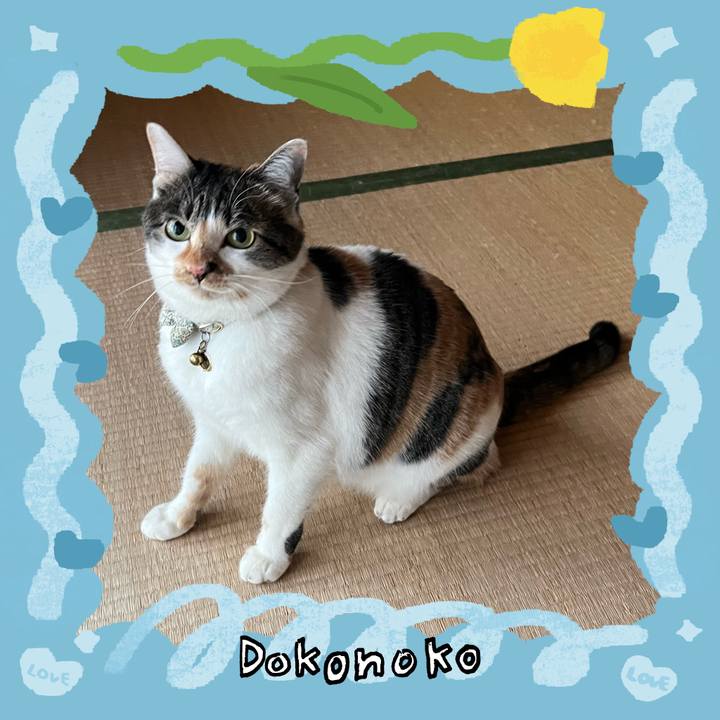 5ab33999 9381 45a9 894f 2395d4613c7a 1771915509680