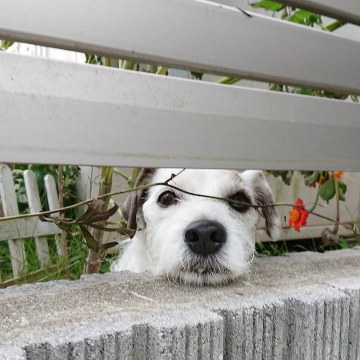 5ab339a0 d18d 46ec 95db 24b3cb2ad098 1540769199099