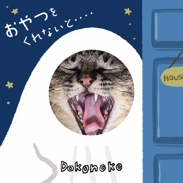 5ab3640f 2c2e 4854 919e e05d342c9aa5 1729151565005