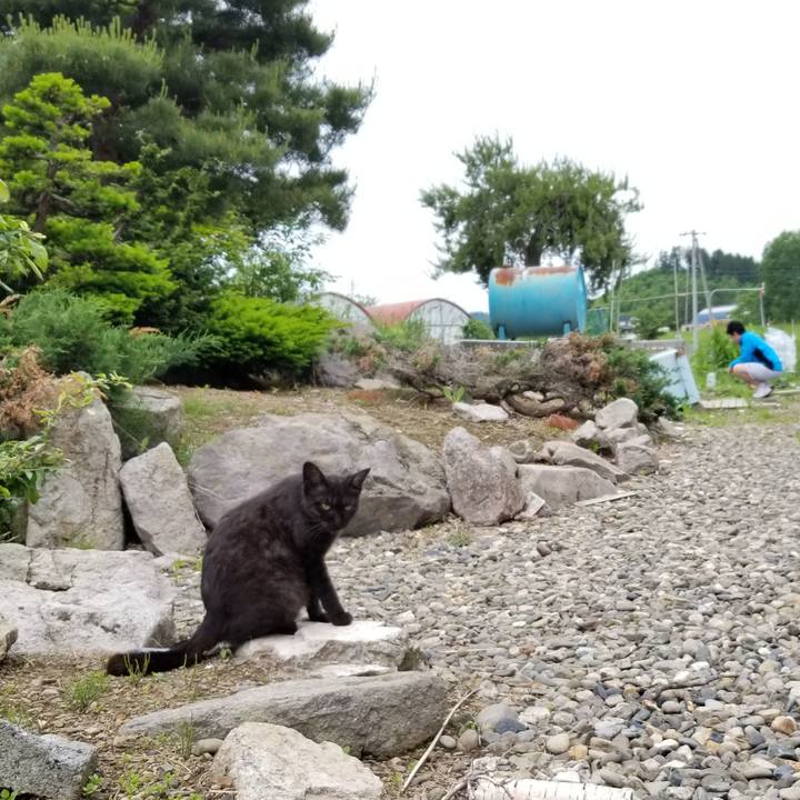 5ab37055 a7ca 46c6 9a09 c0ecbb995df4 1655991738068