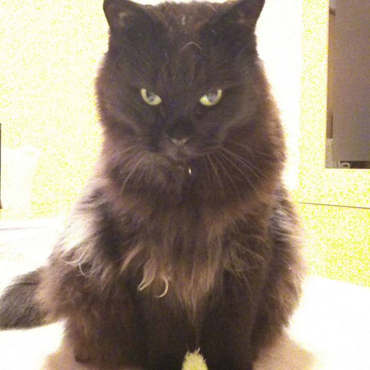 5ab39305 0b56 48f1 9c68 d083bbdab086 1527160626761