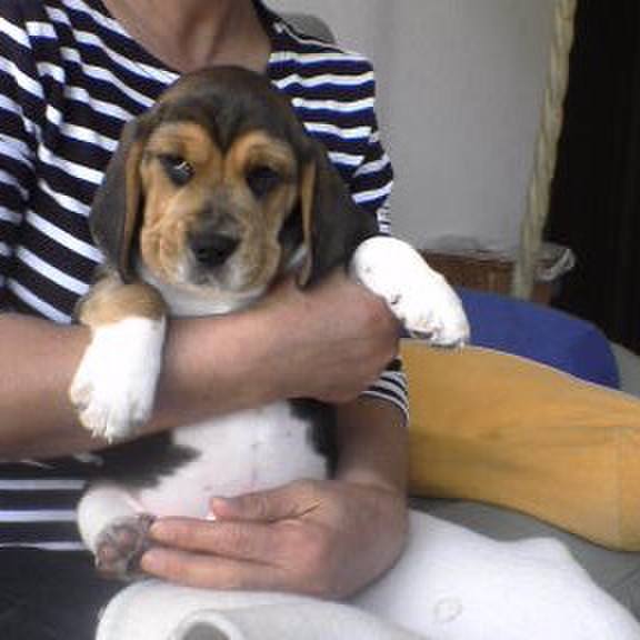 5ab3d98a 0312 4acd ba0d d953994e0a51 1556634337203