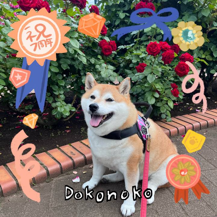 5ab41e7c 861e 4123 984c 34a65bd3daf1 1685931089203