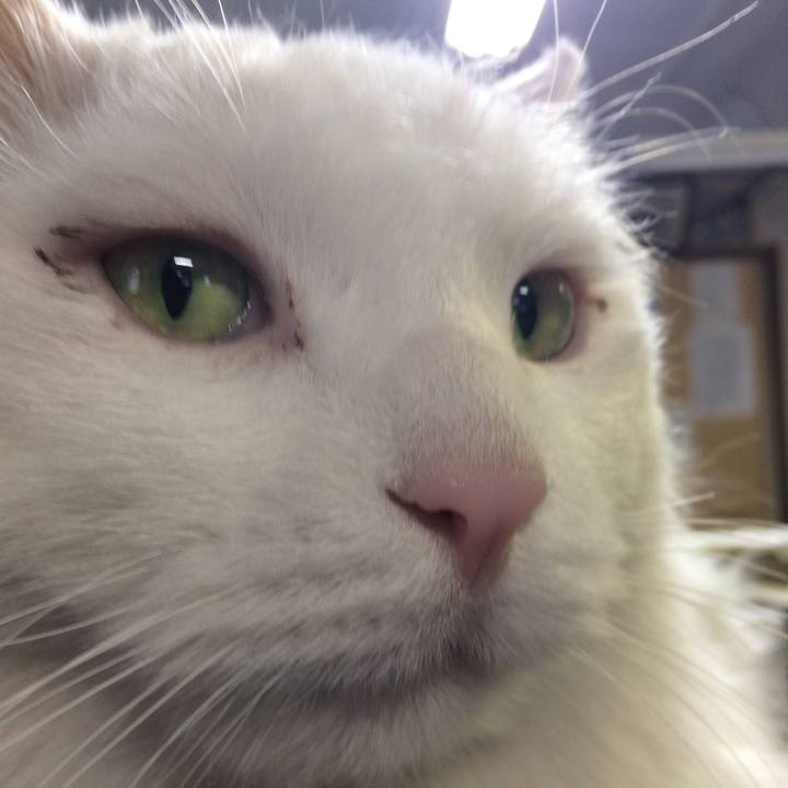 5ab46fe4 6e7a 47fd 8869 3d3930a6f9fa 1519166145876