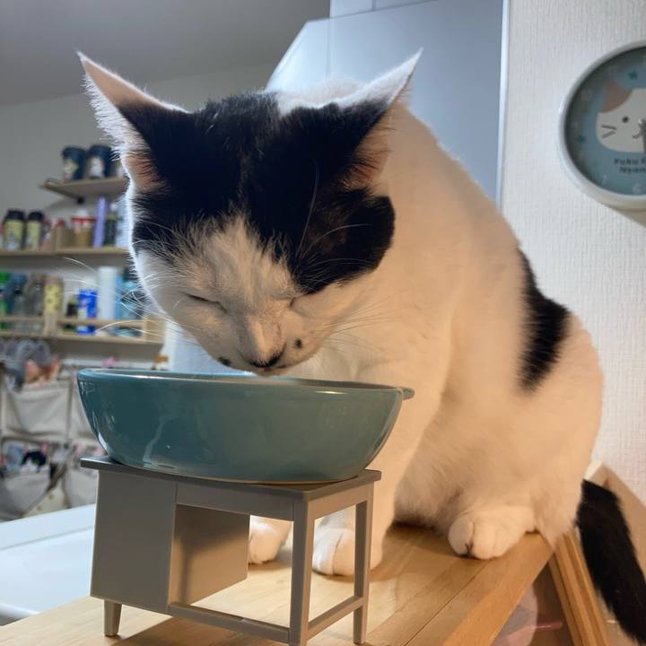 5ab47a35 d546 48e6 aef7 9d5e5e62bdb3 1757623439087