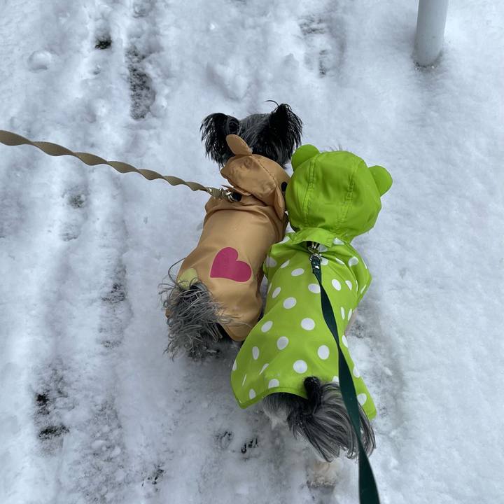 5ab480b0 68fc 4f5d 91fb 57a016a5d5fa 1770513343027