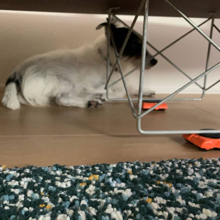 5ab48991 114b 468e 8d9f 8d0513bc8b75 1751348662867