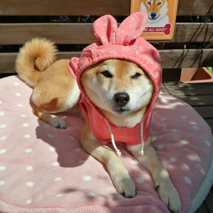 5ab4d916 ba96 4467 b1c7 4a5d888e5000 1681053206176