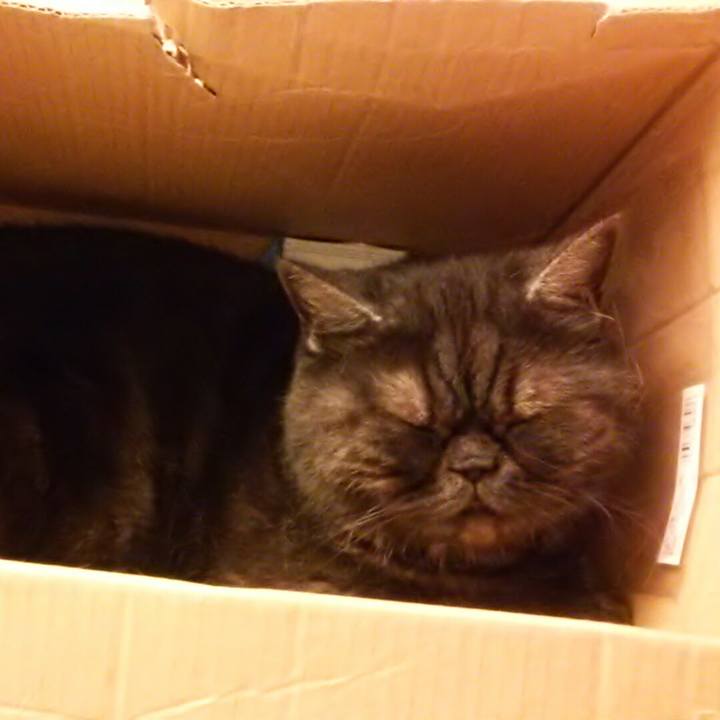 5ab50520 8a47 4126 9238 0261e575b5c7 1525086513910