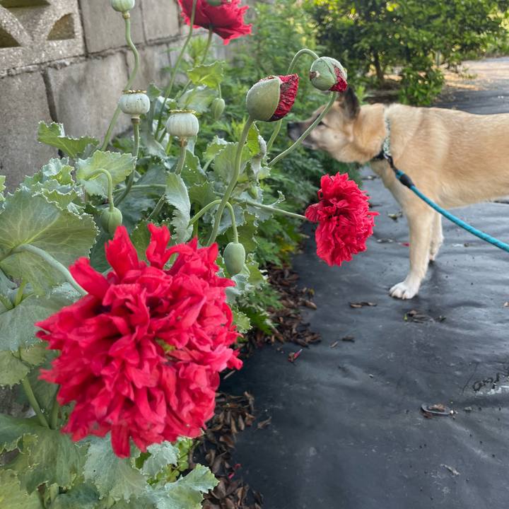 5ab52527 39ad 4a87 a867 a809566c20ef 1684155028898