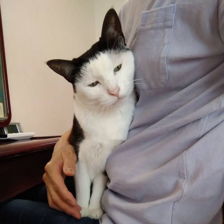 5ab533f5 054e 4171 9911 b46b9ba048c8 1595141583013