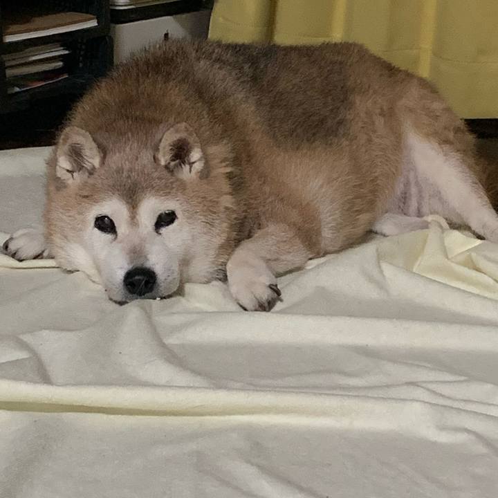 5ab54953 2558 4ca5 a9fe 9e3fd430a656 1658490287392