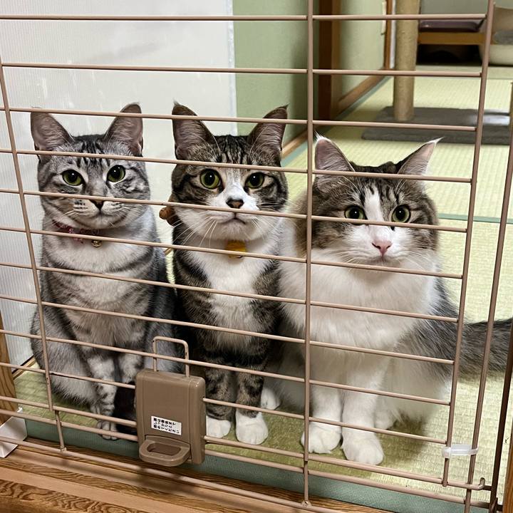 5ab54ce4 a91a 4daa b332 f77fb28e6241 1733225769068