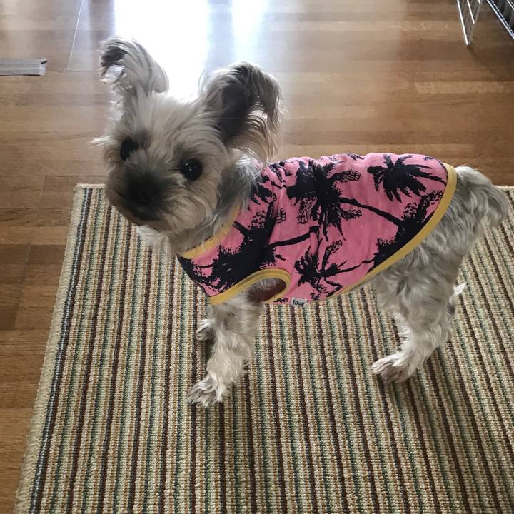 5ab565fb 7aa3 4925 8330 b0db5f7e9354 1575540939183